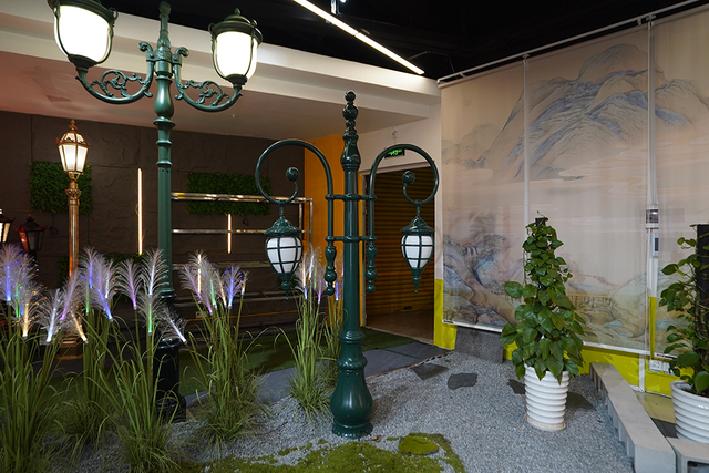 showroom (6)