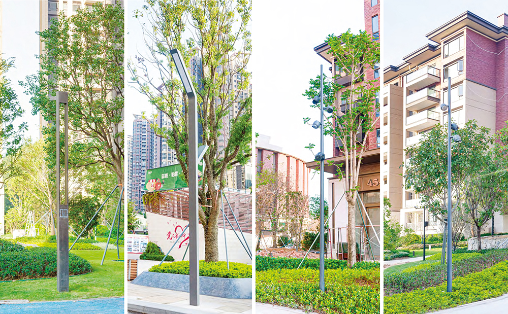 Huizhou Xinghe Dandee (2)
